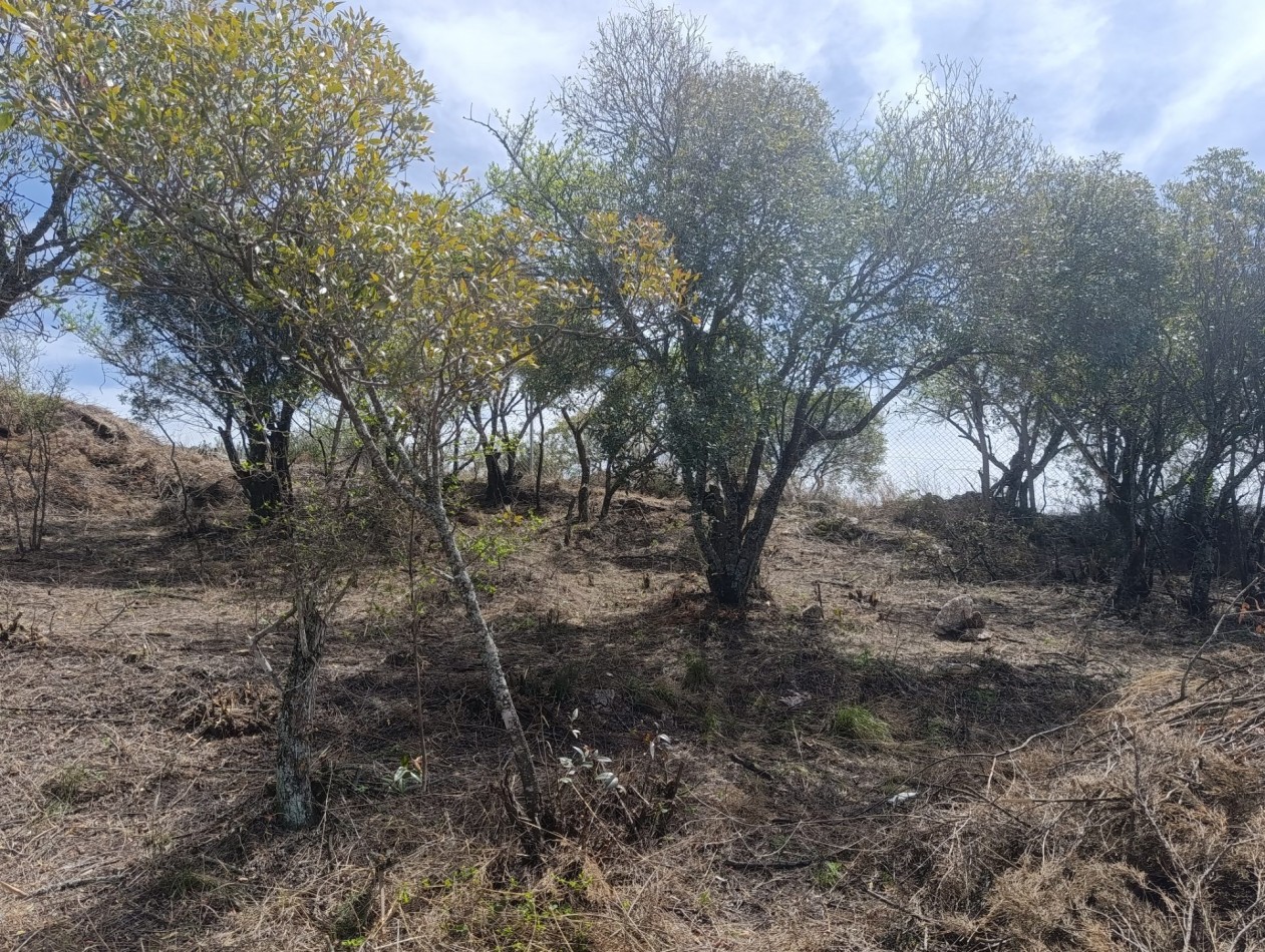 En VENTA LOTE hermosa vista en TANTI con ESCRITURA 